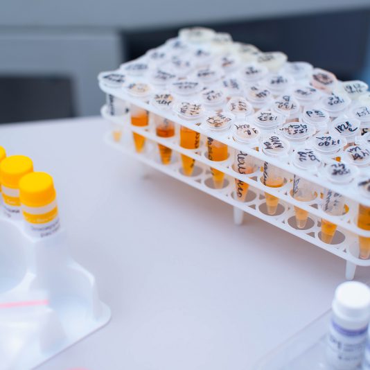 Biomaterials